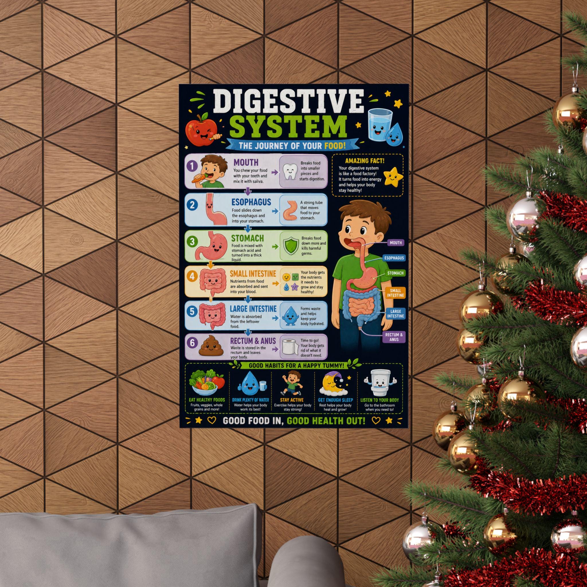 Digestive System Poster Example Kids Digestive System Educational Poster - Etsy Australia