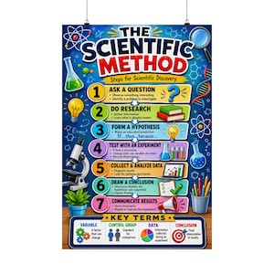 Può includere: Un poster educativo verticale intitolato The Scientific Method Steps for Scientific Discovery. Presenta sette passaggi numerati da 1 a 7, ciascuno con testo descrittivo e icone scientifiche colorate come un microscopio, una lampadina e dei becher.
