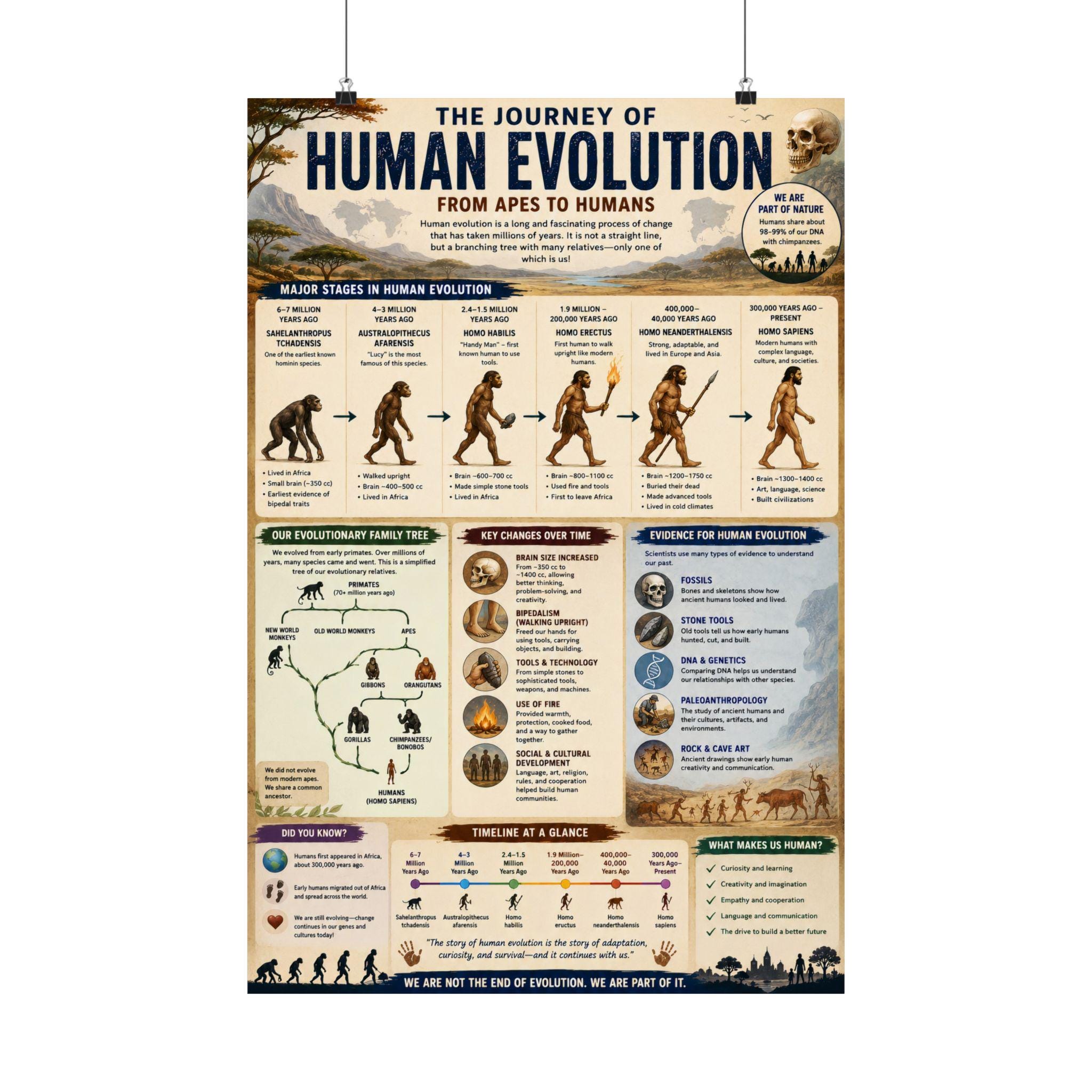 アート・デザイン・音楽 Evolution in Action: Natural History アート