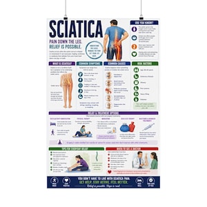 May include: An educational poster titled SCIATICA PAIN DOWN THE LEG. RELIEF IS POSSIBLE. The chart features anatomical illustrations, text sections on symptoms, risk factors, and treatment options, and diagrams showing stretches and medical advice.