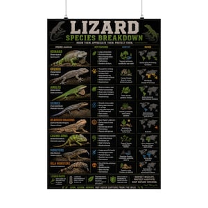 May include: A black educational poster titled LIZARD SPECIES BREAKDOWN featuring illustrations and data for iguanas, geckos, anoles, skinks, bearded dragons, chameleons, monitors, and gila monsters, including key features, habitat, and range maps.