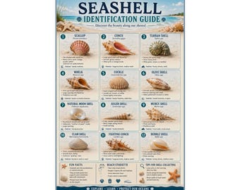 Seashell Identification Guide Poster