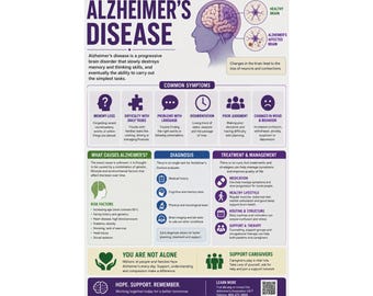 Alzheimers Disease Infographic Poster Educational Health Chart