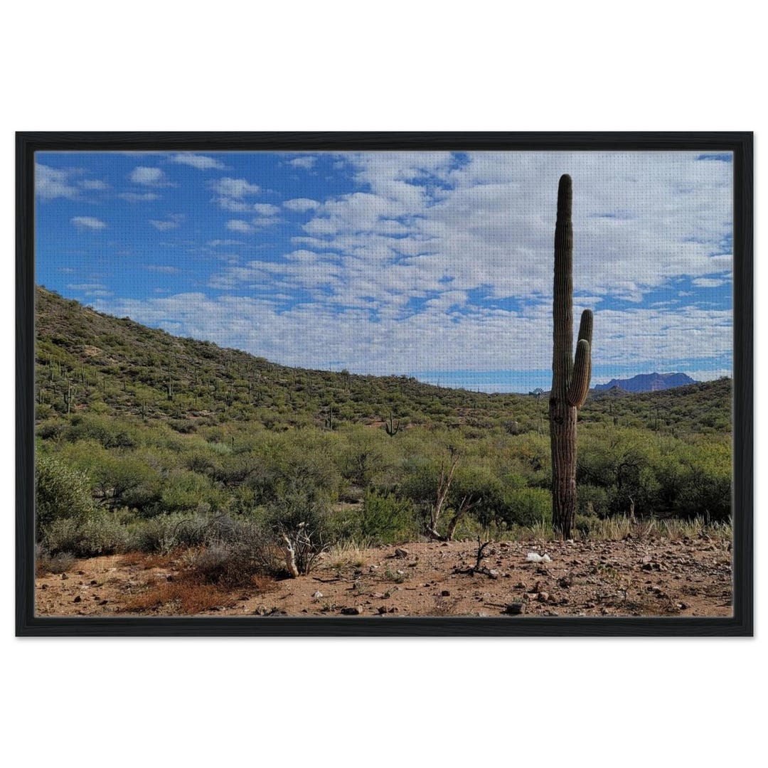Framed Saguaro Cactus Canvas Print | Desert Landscape Wall Art 24x36 ...