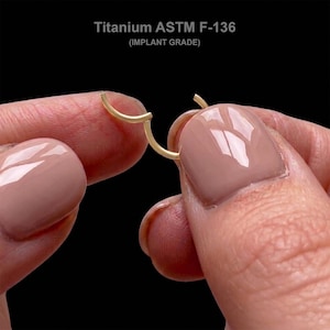 20G/18G/16G titanium clicker / scharnierende neusring segment / septum clickerring / kraakbeenring / neusring / helixoorbel hoepel / E003