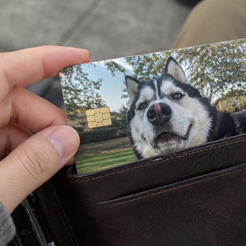 May include: A credit card with a smiling black and white Siberian Husky dog. The card has a gold chip and is partially in a brown leather wallet. The background shows trees and a grassy area.