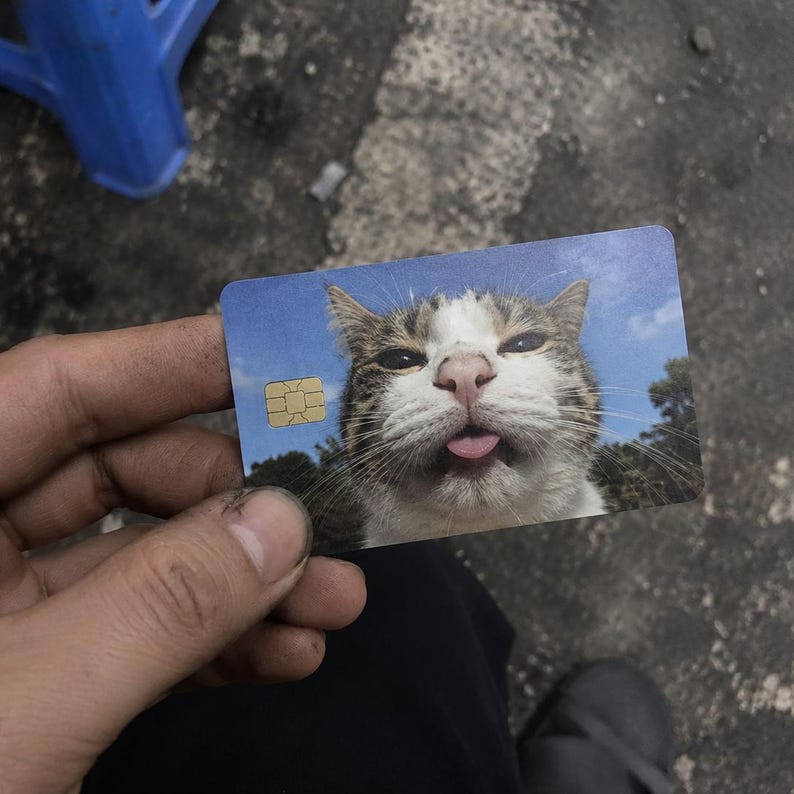 May include: A novelty credit card with a close-up image of a cat sticking its tongue out. The cat has brown and white fur, a pink nose and tongue. The background shows a blue sky and trees.