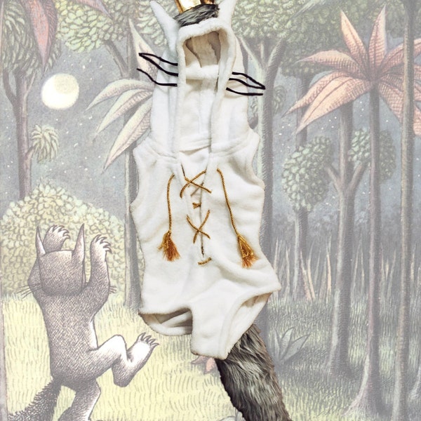 Where The Wild Things Are Max Costume