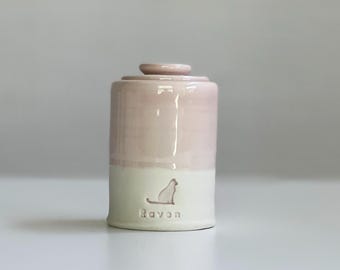 Custom cat urn for ashes. personalized name shown in pink