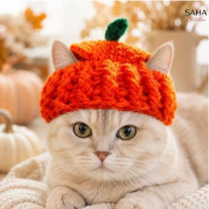 May include: A crocheted orange pumpkin hat for a cat, featuring a textured ribbed design and a small green stem on top. The hat is worn by a light-colored cat with visible ears poking through the sides. The text SAHA Stitches is in the corner.