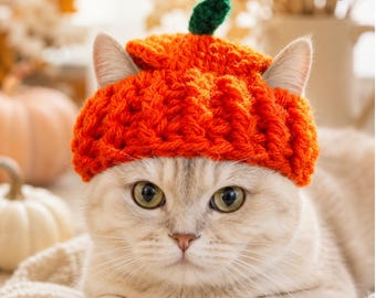 Modèle de chapeau de chat citrouille au crochet, costume d'Halloween pour animaux de compagnie, accessoire félin d'automne, téléchargement PDF facile