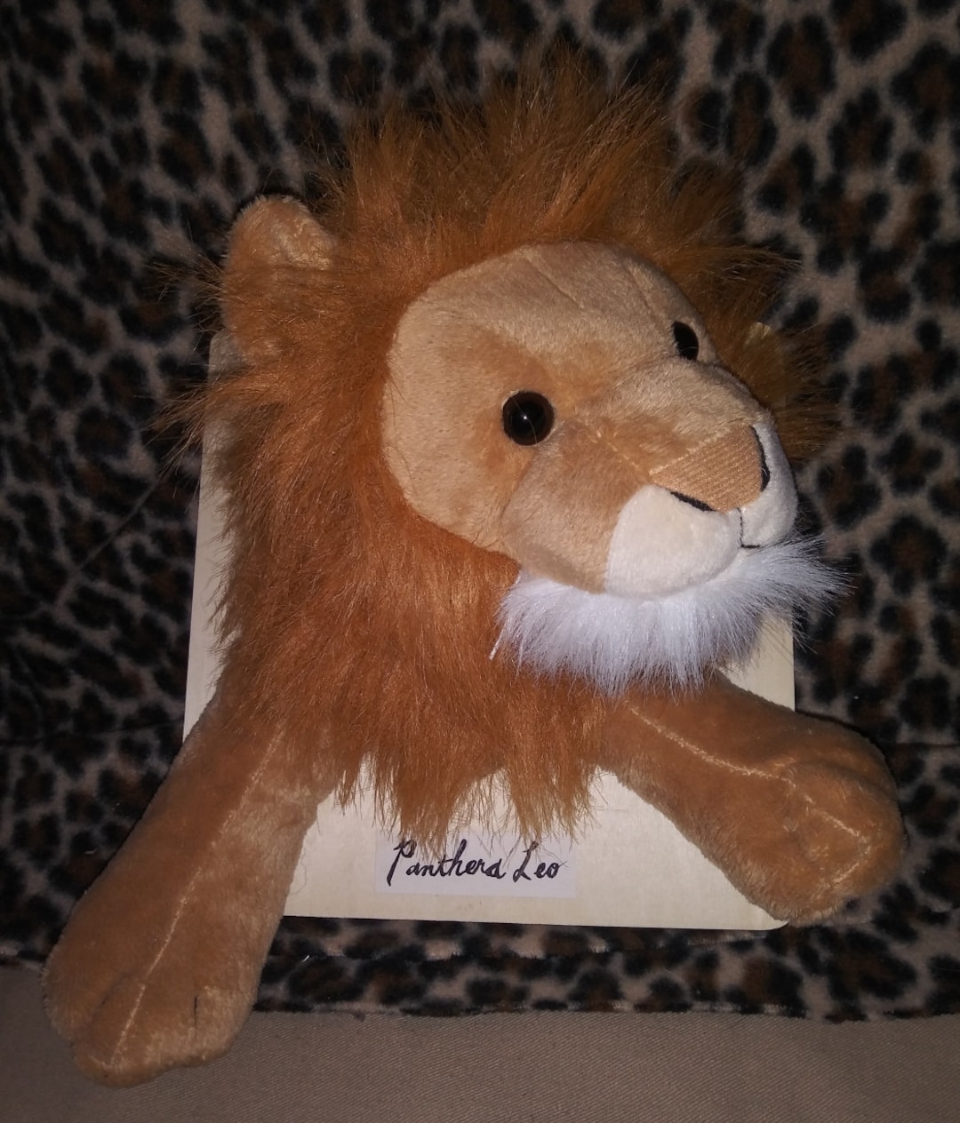 Stuffed Animal Taxidermy - Lefty the Lion - Etsy