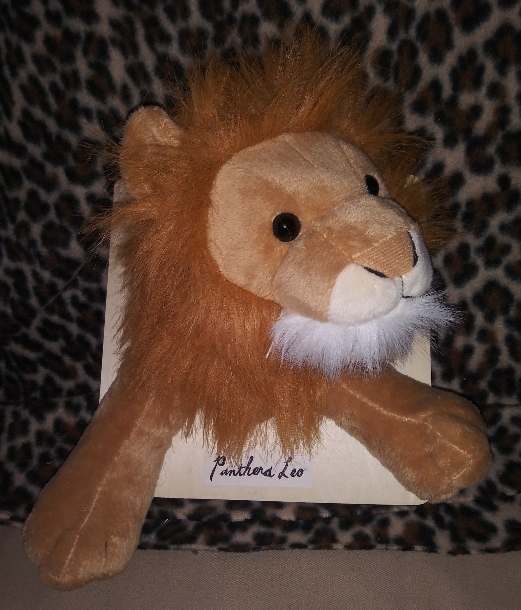 Stuffed Animal Taxidermy - Lefty the Lion - Etsy