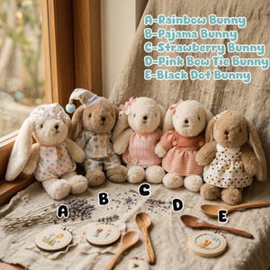 May include: Five soft toy bunnies, each dressed differently. The bunnies are labelled A to E, with descriptions including "Rainbow Bunny," "Pajama Bunny," and "Black Dot Bunny." Wooden spoons and embroidered hoops are also present.