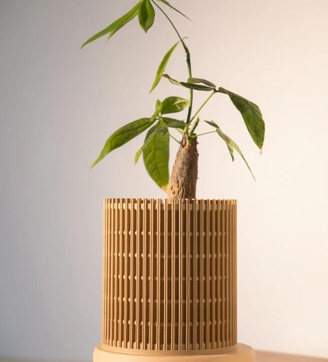 Jardinière géométrique en treillis