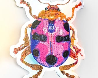 PEGATINA DE ESCARABAJO HOLOGRÁFICA