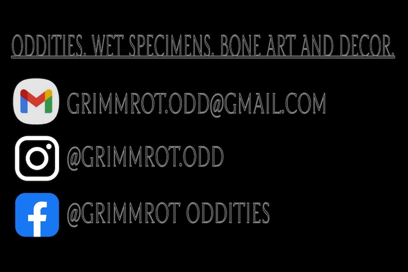K&ouml;nnte beinhalten: Schwarzer Hintergrund mit wei&szlig;em Text und Social-Media-Symbolen. Der Text lautet "ODDITIES. WET SPECIMENS. BONE ART AND DECOR." und Kontaktinformationen: GRIMMROT.ODD@GMAIL.COM, @GRIMMROT.ODD und @GRIMMROT ODDITIES.