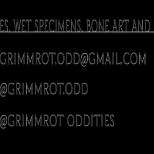 May include: A black informational graphic featuring the text ODDITIES, WET SPECIMENS, BONE ART AND DECOR. Contact details include the email GRIMMROT.ODD@GMAIL.COM, the Instagram handle @GRIMMROT.ODD, and the Facebook handle @GRIMMROT ODDITIES with icons.