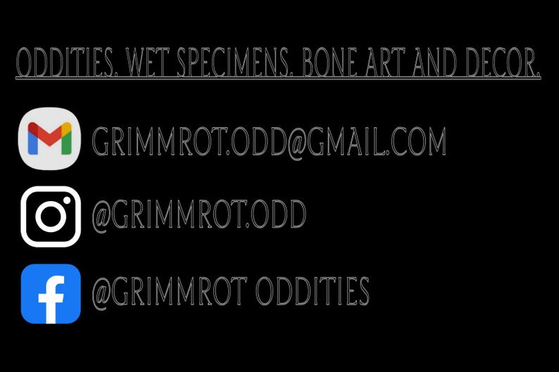 May include: A black informational graphic featuring the text ODDITIES, WET SPECIMENS, BONE ART AND DECOR. Contact details include the email GRIMMROT.ODD@GMAIL.COM, the Instagram handle @GRIMMROT.ODD, and the Facebook handle @GRIMMROT ODDITIES with icons.
