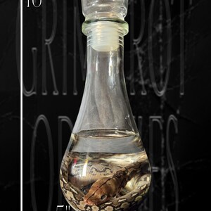 Reticulated Python Wet Specimen image 3