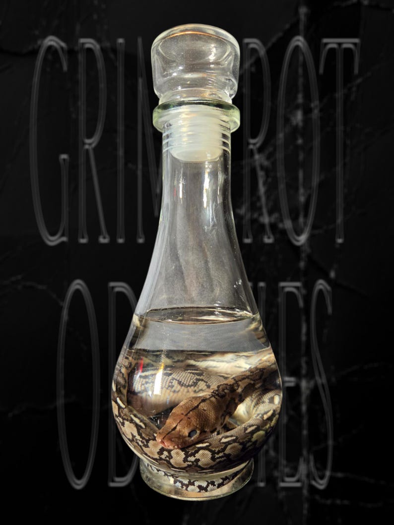 Reticulated Python Wet Specimen image 1