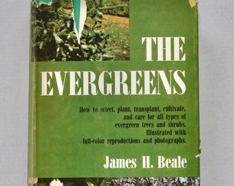 Vintage Evergreens Gardening Book by James H. Beale, 1960