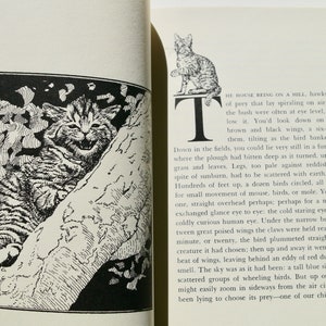 On Cats by Doris Lessing On Cats by Doris Lessing