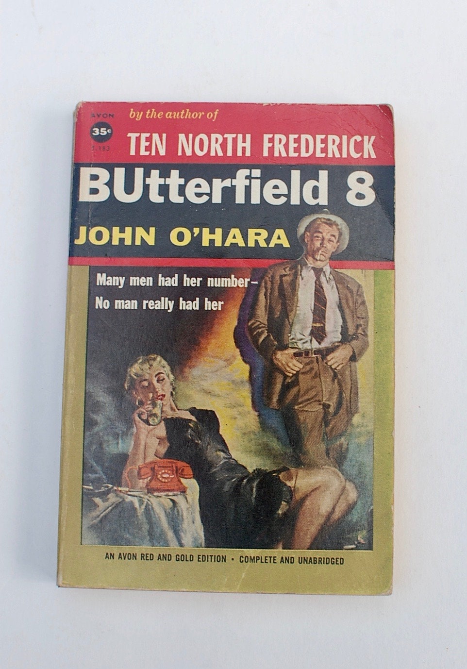 BUTTERFIELD 8 NOVEL visual data 4