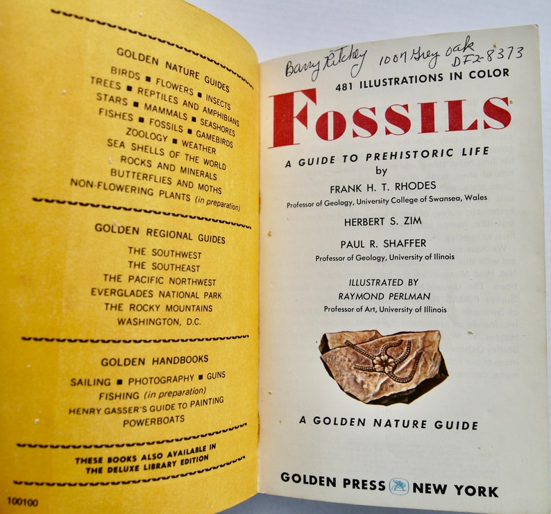 Fossils A Guide to Prehistoric Life Golden Nature Guide 1962 - Etsy