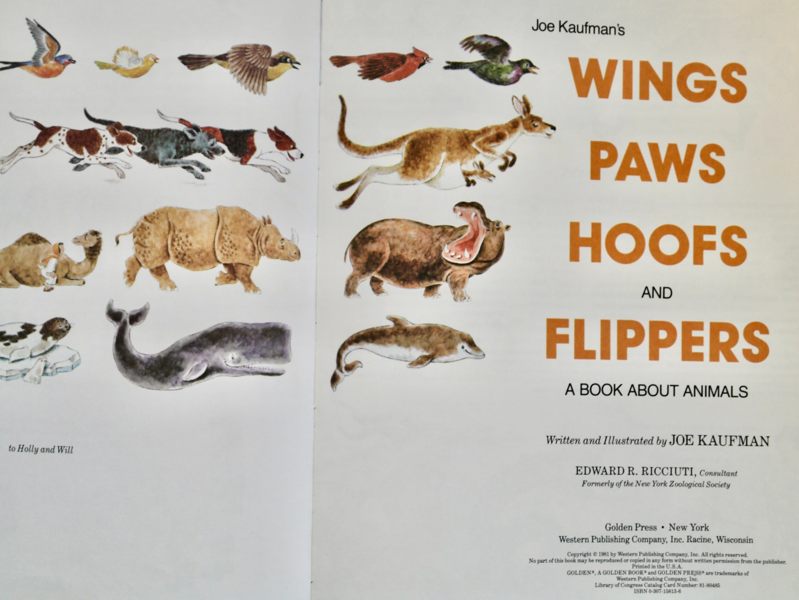 Joe Kaufman's Wings Paws Hoofs and Flippers A Book About Etsy