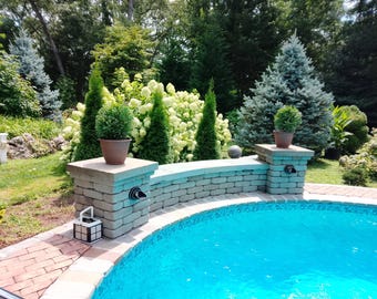 Danica Globe Arborvitae Potted Trees, Local Pickup Only