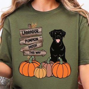 May include: Olive green t-shirt featuring a black Labrador dog sitting atop three pumpkins. A wooden sign points towards a pumpkin patch. The text on the sign reads "Labrador Pumpkin Patch This Way."