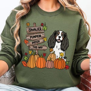 May include: An olive green crewneck sweatshirt featuring a graphic print of a Cavalier King Charles Spaniel, orange pumpkins, and a wooden signpost with the text "CAVALIER PUMPKIN PATCH THIS WAY" surrounded by colorful autumn leaves.