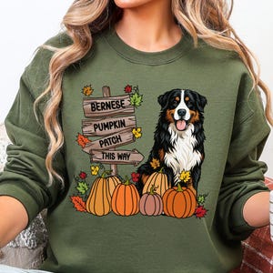 May include: An olive green crewneck sweatshirt featuring a graphic of a Bernese Mountain Dog sitting next to a wooden signpost that reads "BERNESE PUMPKIN PATCH THIS WAY" surrounded by orange pumpkins and colorful autumn leaves.