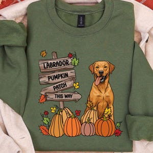 May include: An olive green crewneck sweatshirt featuring a graphic of a yellow Labrador retriever sitting next to a wooden signpost that reads "LABRADOR PUMPKIN PATCH THIS WAY" surrounded by colorful autumn leaves and several orange pumpkins.