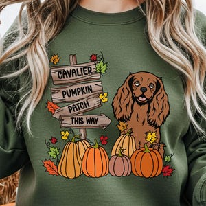 Cavalier Halloween Sweatshirt, Custom Ruby Cavalier King Charles Spaniel Pumpkin Patch Crewneck Sweater, Personalized Cavalier Dog Lover Top