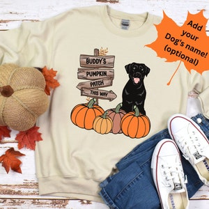 Doberman Halloween Sweatshirt. Fall Doberman Sweatshirt. Doberman Pinscher Halloween Shirt. Natural Ears Doberman Gifts. Autumn Dobie Shirt. image 5