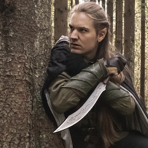 May include: A person dressed in a dark green and brown costume with a long, flowing brown wig holds a silver dagger with an inscription. The person is standing in a forest setting.