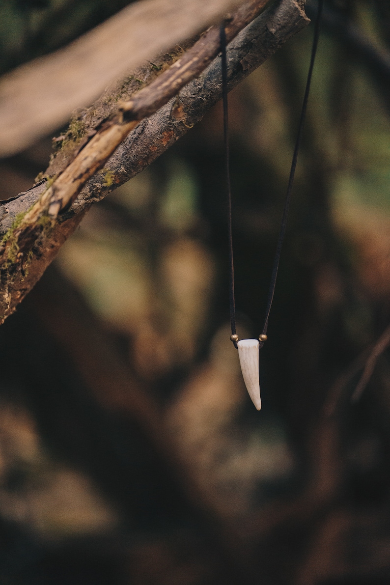 Deer Antler Necklace, Antler Point Pendant, Real Genuine, Deerskin Leather Cord & Brass Beads /F/ AB image 6