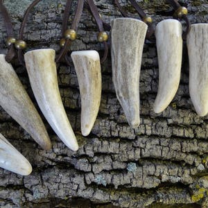 Deer Antler Necklace, Antler Point Pendant, Real Genuine, Deerskin Leather Cord & Brass Beads /F/ AB image 5