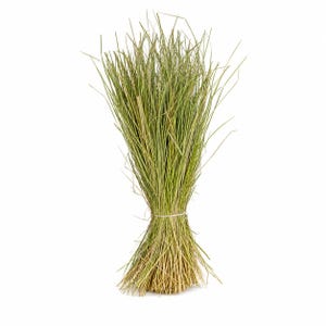Op de afbeelding: Een bundel gedroogde groene grassprieten die aan de basis is samengebonden met een dun, lichtgekleurd touwtje. De sprieten staan rechtop en variëren in tinten lichtgroen, olijfgroen en beige, wat zorgt voor een hoog, gestructureerd geheel.