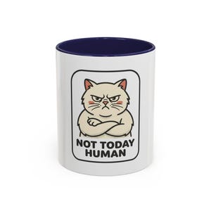 Grumpy Cat Mug | Not Today Human Coffee Cup, Sarcastic Cat Lover Gift