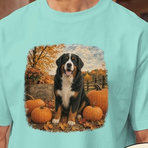 May include: A light turquoise t-shirt featuring a graphic print of a Bernese Mountain Dog sitting in a pumpkin patch. The scene includes orange pumpkins, autumn leaves, a wooden sign with the text Pumpkins Apples Hayrides, and trees.