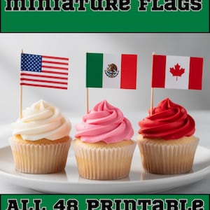 Könnte beinhalten: Drei Cupcakes mit Miniaturflaggen der USA, Mexikos und Kanadas. Der Text lautet WORLD CUP miniature FLAGS und ALL 48 PRINTABLE national FLAGS. Die Cupcakes haben weißes, rosa und rotes Frosting in Papierförmchen.