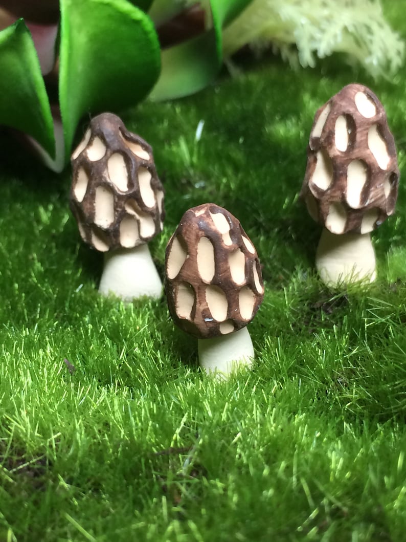 5 Terrarium Mushrooms Fairy Garden Morel Mushrooms Handmade Etsy