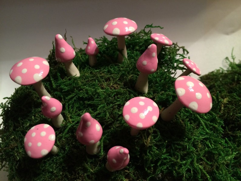 Fairy Mushroom Ring Assorted Sizes and Shapes 13 Pieces Etsy