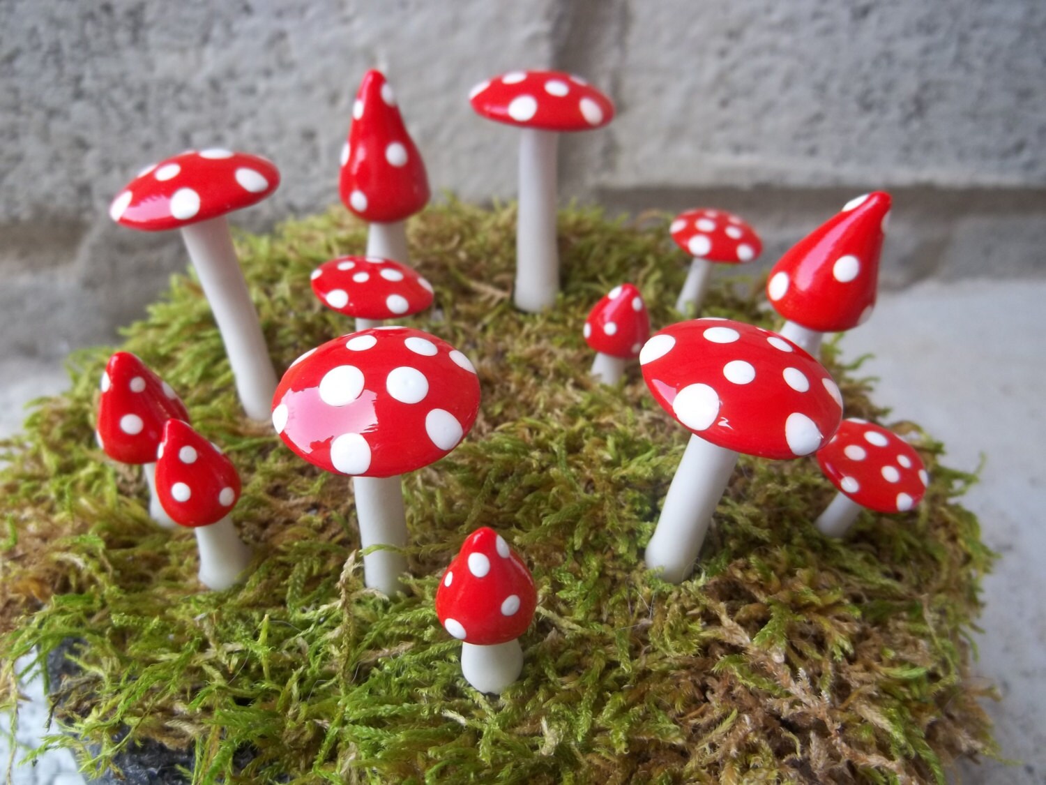 Fairy Mushroom Ring Assorted Sizes and Shapes 13 Pieces Etsy