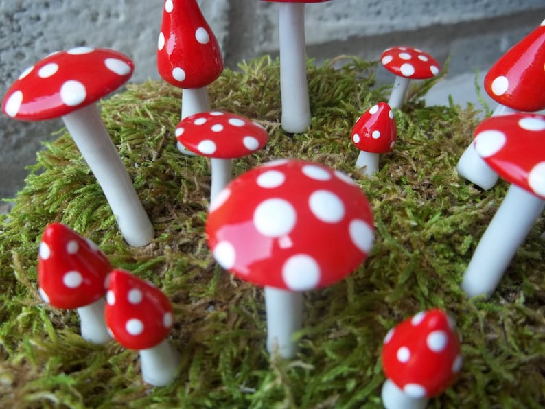 Fairy Mushroom Ring Assorted Sizes and Shapes 13 Pieces Etsy