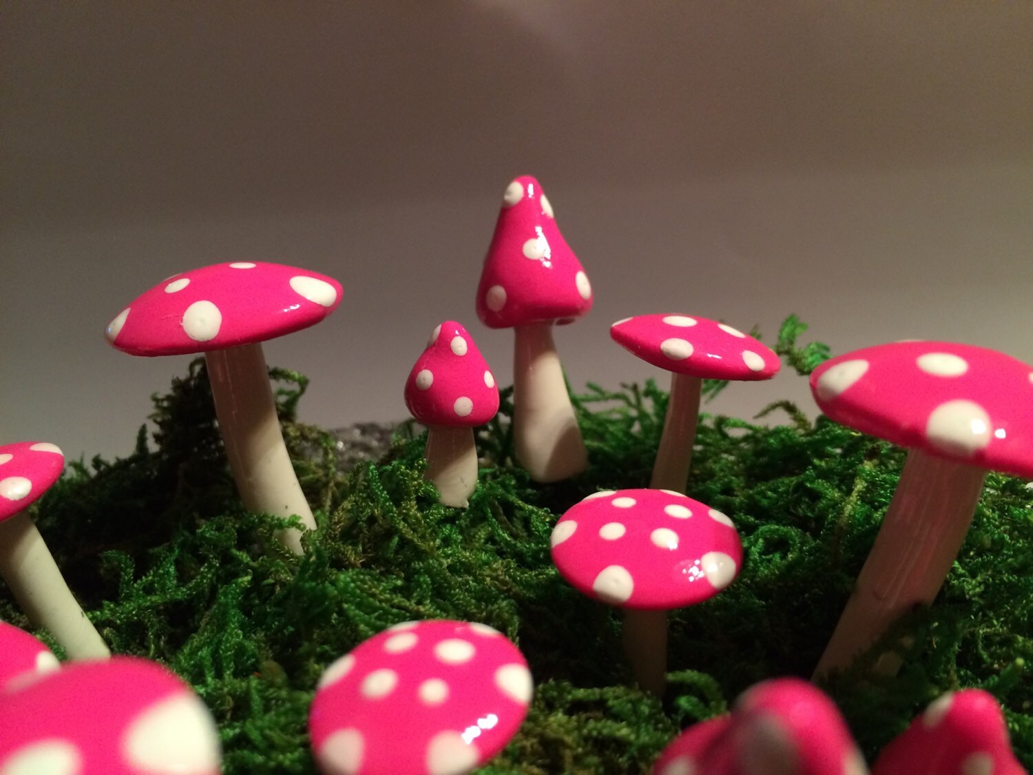 Fairy Mushroom Ring Assorted Sizes and Shapes 13 Pieces Etsy