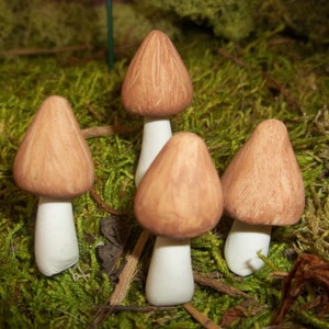 set of 4 Fairy garden mushrooms miniatures gnome pixie terrarium accessories woodland garden